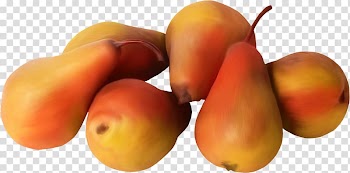 Fruit Pear Auglis Food, pear transparent background PNG clipart