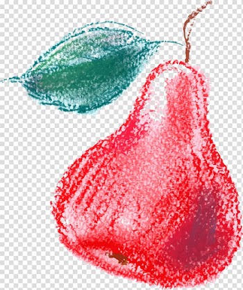 Fruit Pear Logo Illustration, Hand painted red pear transparent background PNG clipart