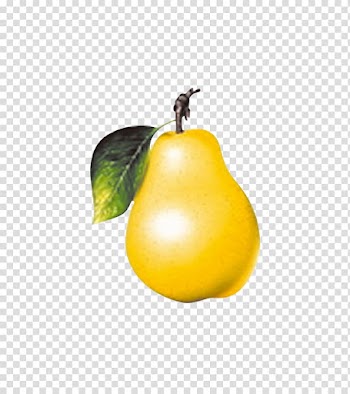 Fruit Pear Vegetable Apple, pear transparent background PNG clipart