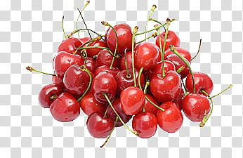 Fruit, pile of red cherries transparent background PNG clipart