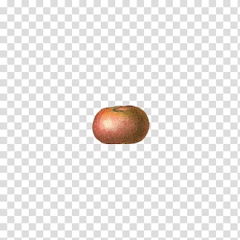 Fruit, pink and green fruit illustration transparent background PNG clipart