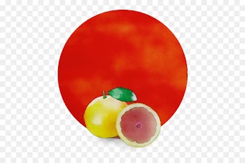 fruit plate food plant seedless fruit
