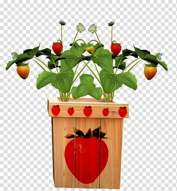 Fruit Pot Flowerpot Strawberry, Strawberry pots transparent background PNG clipart
