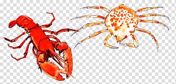 Fruit, red crayfish and brown crab art transparent background PNG clipart