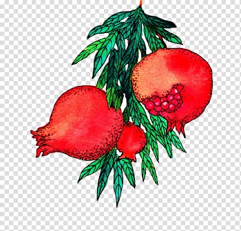 Fruit, red pomegranate fruit art transparent background PNG clipart