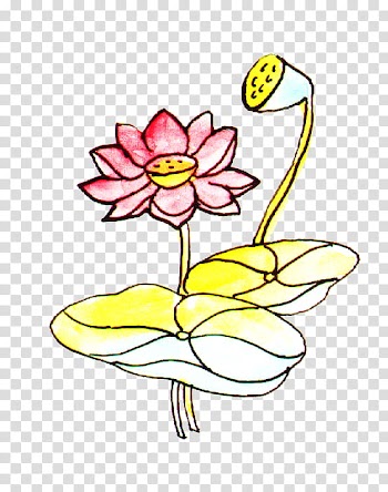 Fruit, red rose illustration transparent background PNG clipart