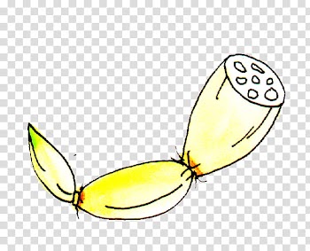 Fruit, round gold pendant with black necklace transparent background PNG clipart