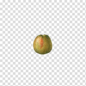 Fruit, round green fruit transparent background PNG clipart