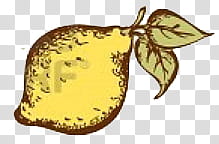 Fruit s, yellow lemon fruit illustration transparent background PNG clipart