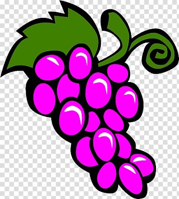 Fruit salad Grape , Grapes Drawing transparent background PNG clipart