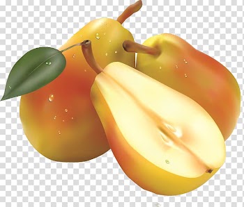 Fruit salad Pear , Realistic pear fruit transparent background PNG clipart