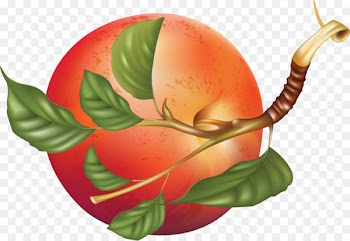 Fruit, Smoothie, Drawing, Leaf, Anthurium PNG