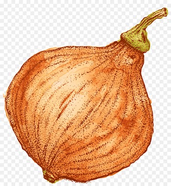 Fruit Squash Commodity - kt 