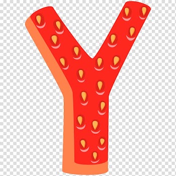 Fruit Strawberry Vegetable Drawing, Y transparent background PNG clipart