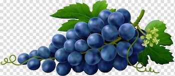 Fruit The Red Summer Red Velvet, black grapes transparent background PNG clipart