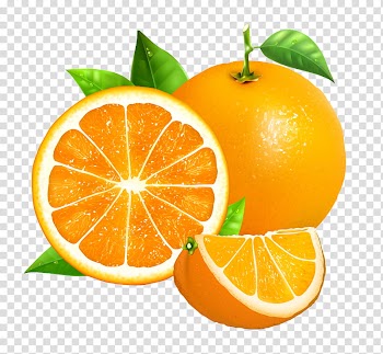 Fruit The Red Summer Red Velvet, two orange fruits transparent background PNG clipart