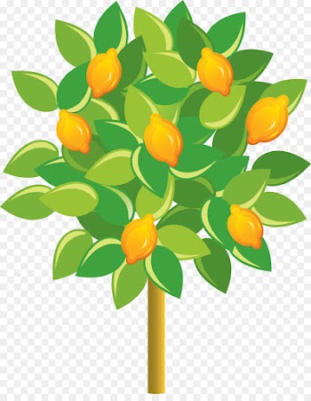 Fruit tree