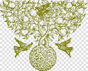 Fruit tree Drawing Apple, apple transparent background PNG clipart