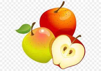 Fruit tree Euclidean vector - Large Painted Apples PNG Clipart 