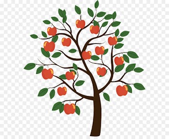 Fruit tree Euclidean vector - Vector apple tree 