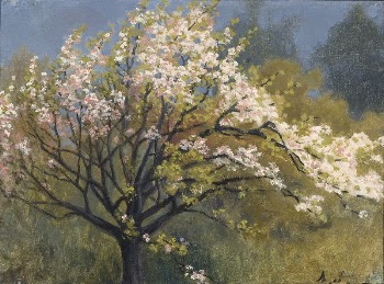 Fruit tree in blossom, Arvid | Free Photo - rawpixel