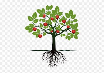 Fruit Tree With Roots