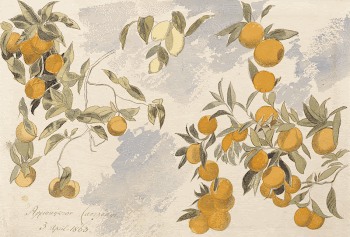 Fruit trees (1863) painting in high | Free Photo - rawpixel