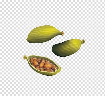 Fruit , True cardamom Spice, Spice cardamom material transparent background PNG clipart