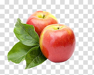 Fruit, two red apple fruits transparent background PNG clipart