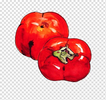 Fruit, two tomatoes illustration transparent background PNG clipart
