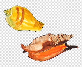 Fruit, unpaired orange and black Nike basketball shoe transparent background PNG clipart