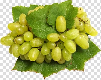 Fruit Vegetable Common Grape Vine Food, vegetable transparent background PNG clipart