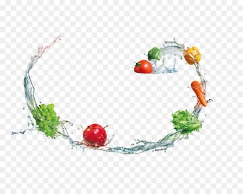 Fruit Vegetable Du0159ez Escorredora - Washing fruits and vegetables 