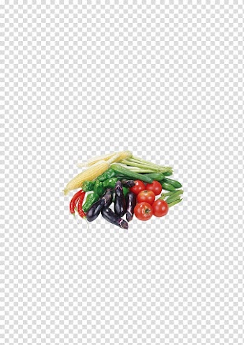 Fruit Vegetable, Eggplant Cucumber transparent background PNG clipart