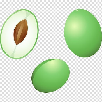 Fruit Vegetable Food Melon, food,fruit,vegetables,Melon fruits and vegetables,delicious transparent background PNG clipart