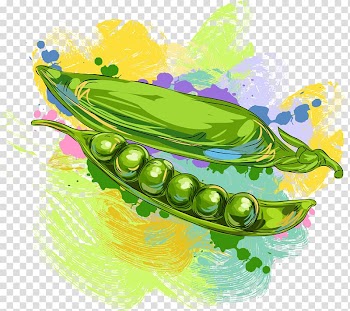 Fruit Vegetable Pea Illustration, peas transparent background PNG clipart