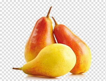 Fruit Vegetable Pear, pear transparent background PNG clipart