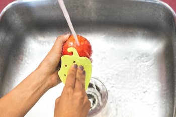 Fruit & Veggie Scrubber