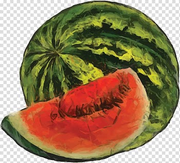Fruit Watercolor painting Watermelon, watermelon transparent background PNG clipart