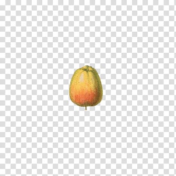 Fruit, yellow and orange fruit art transparent background PNG clipart