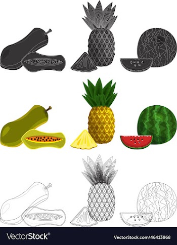 fruits and vegetables designs