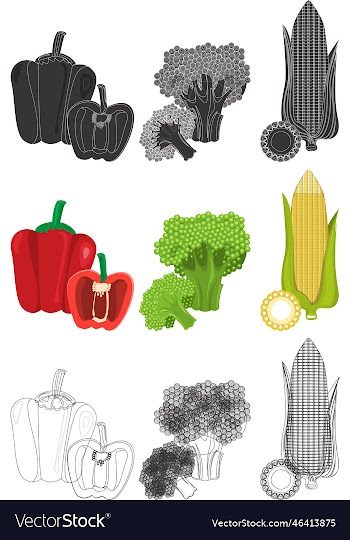 fruits and vegetables designs