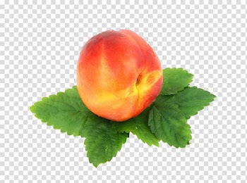 Fruits and Vegetables for Kids Food graphics, vegetable transparent background PNG clipart
