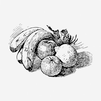 Fruits clipart, still life vintage | Free Vector - rawpixel