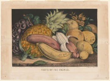 Fruits of the tropics (1871) | Free Photo - rawpixel