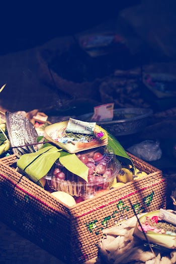 Fruits on Case