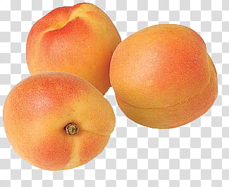 Fruits, peach fruits transparent background PNG clipart