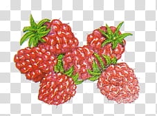 Fruits , pile of strawberries sticker transparent background PNG clipart