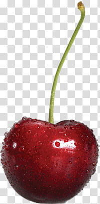 Fruits  ping s, red cherry fruit transparent background PNG clipart