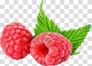 Fruits  ping s, two pink fruits transparent background PNG clipart